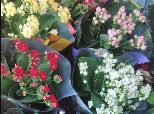 Participación en Ferias en Paraguay