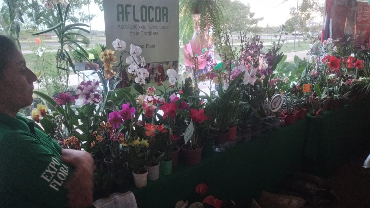 ministerio-de-agricultura-y-ganaderia en Paraguay